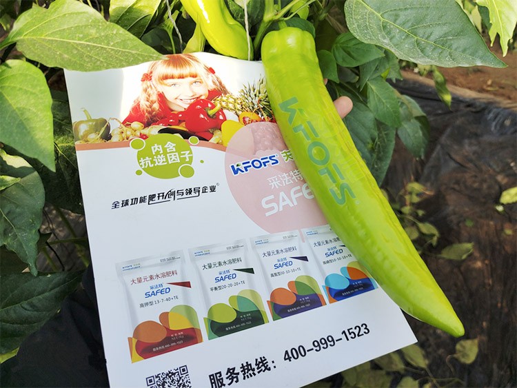 進(jìn)口水溶肥蔬菜上怎么用效果好？