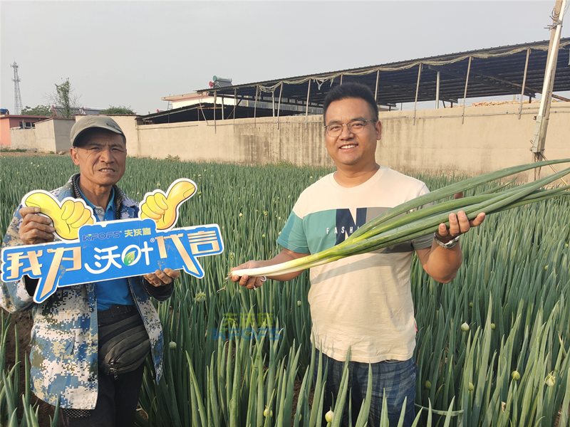 進口水溶肥-沃葉進口水溶肥用戶見證.png