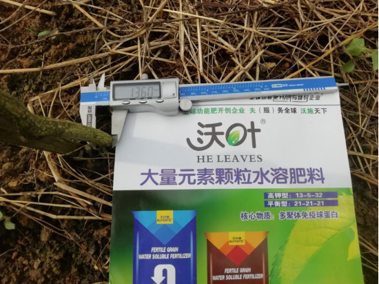 顆粒水溶肥-百香果用沃葉莖稈粗壯.png